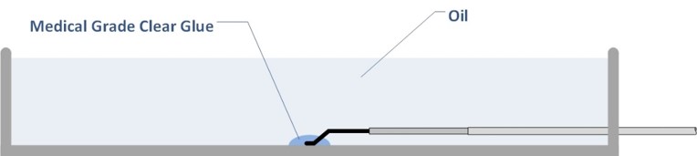 drawing of a petridish with a sensor probe pasted with its tip on bottom surface